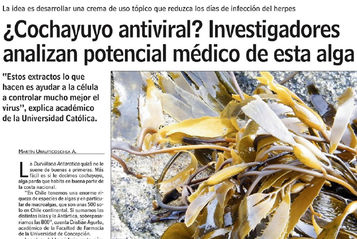 Cochayuyo Antiviral - Las Últimas Noticias